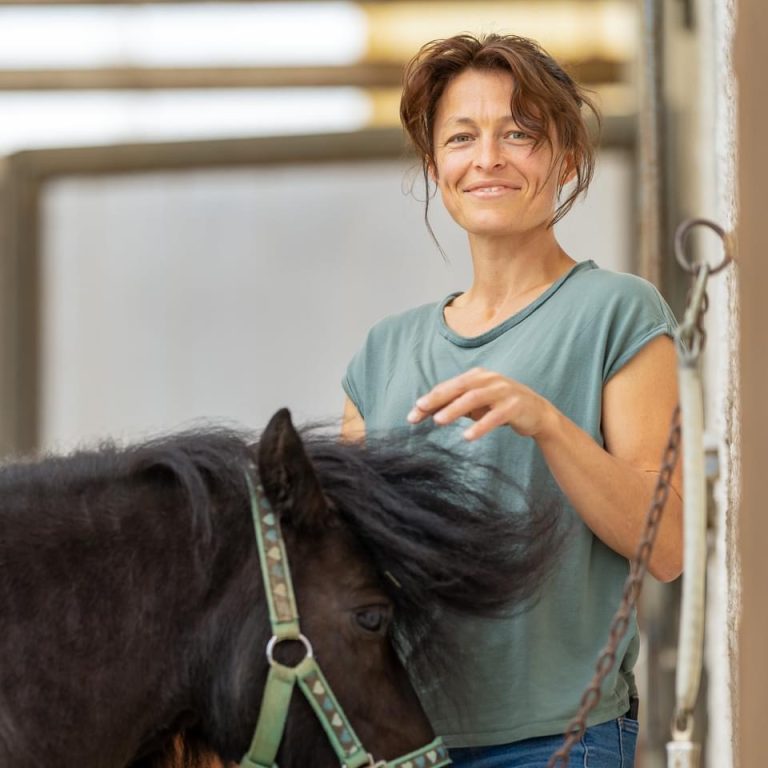 paardenoppas4