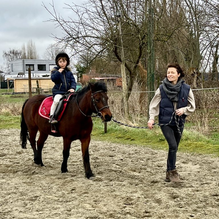 paardenoppas6
